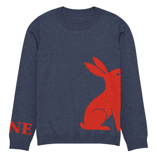 Detalle frontal del jersey KÖNE azul con conejo rojo y letras NE bordadas en manga.