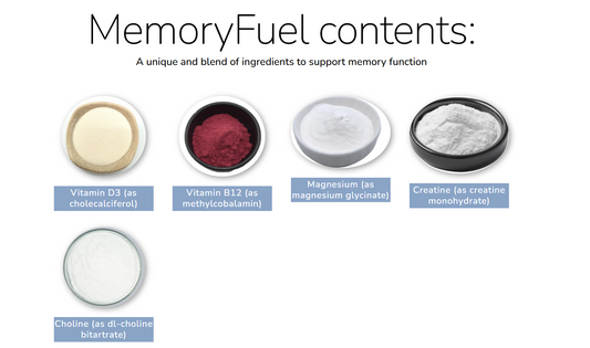 MemoryFuel: Nootrópico de Alto Rendimiento con Creatina | Enfoque & Energía Cognitiva