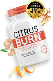 Citrus Burn: Optimizador Metabólico con Sinetrol® | High Performance & Lipólisis